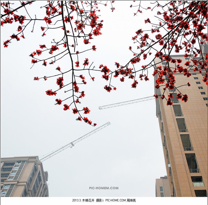 PRO_3296-2.jpg PRO_3296-2.jpg