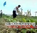 汕头今日视线2010年7月11日(潮汕)