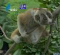 汕头今日视线2010年08月05日