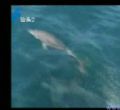 汕头今日视线2010年08月21日