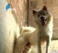 汕头今日视线2010年09月07日