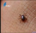 汕头今日视线2010年09月14日