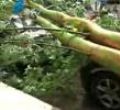 汕头今日视线2010年10月23日