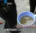 汕头今日视线2010年11月29日
