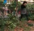 汕头今日视线2010年12月01日