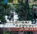 汕头今日视线2010年12月16日