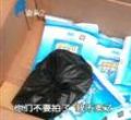 汕头今日视线2011年3月17日