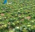 汕头今日视线2011年4月26日