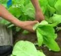 汕头今日视线2011年5月2日