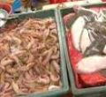 汕头今日视线2011年5月6日