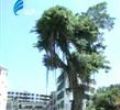 汕头今日视线2011年5月9日