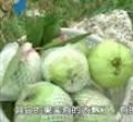 汕头今日视线2011年8月23日