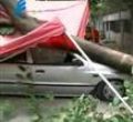 汕头今日视线2011年9月20日
