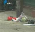 汕头今日视线2011年9月26日