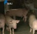 汕头今日视线2011年10月14日
