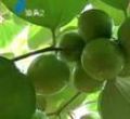 汕头今日视线2011年10月30日