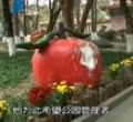 汕头今日视线2012年1月31日