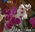 汕头今日视线2012年2月10日