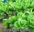 汕头今日视线2012年2月14日