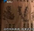汕头今日视线2012年2月18日