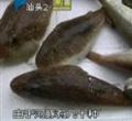 汕头今日视线2012年2月26日