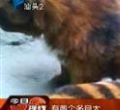 汕头今日视线2012年3月21日