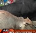 汕头今日视线2012年5月4日