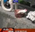 汕头今日视线2012年6月19日