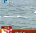 汕头今日视线2012年7月3日