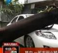 汕头今日视线2012年7月24日