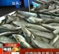 汕头今日视线2012年8月18日
