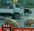 汕头今日视线2012年10月18日