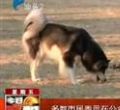 汕头今日视线2012年10月26日
