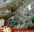 汕头今日视线2012年10月30日