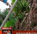 汕头今日视线2012年10月31日