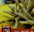汕头今日视线2012年11月20日