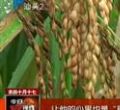 汕头今日视线2012年11月30日