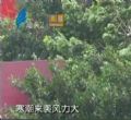 汕头今日视线2012年12月30日