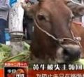汕头今日视线2013年1月27日