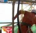 汕头今日视线2013年1月29日