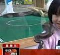 汕头今日视线2013年2月8日