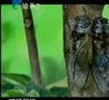 汕头今日视线2013年2月12日
