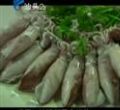 汕头今日视线2013年2月15日