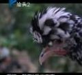 汕头今日视线2013年2月16日