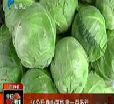 汕头今日视线2013年3月29日