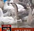 汕头今日视线2013年4月11日