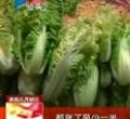 汕头今日视线2013年4月12日
