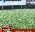 汕头今日视线2013年5月11日