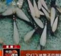 汕头今日视线2013年5月28日