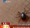 汕头今日视线2013年6月17日